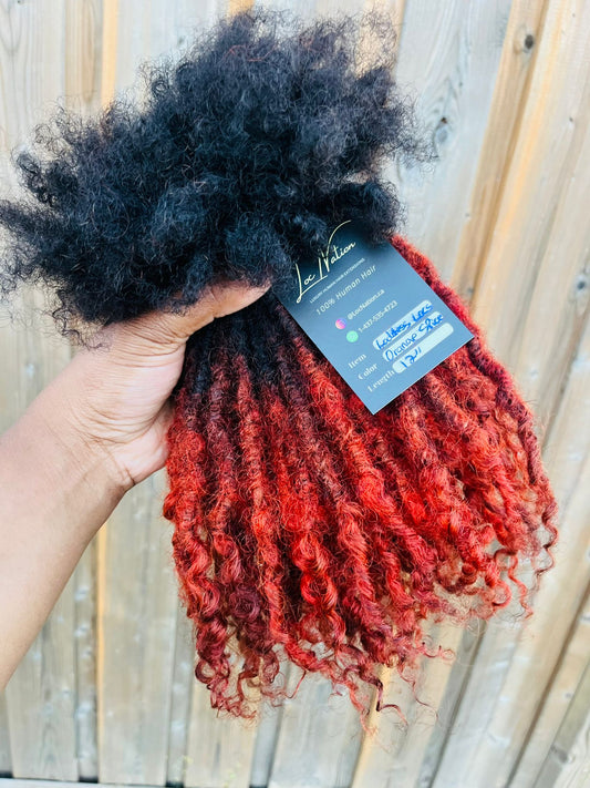 (80 Locs) Orange Spice Goddess Locs