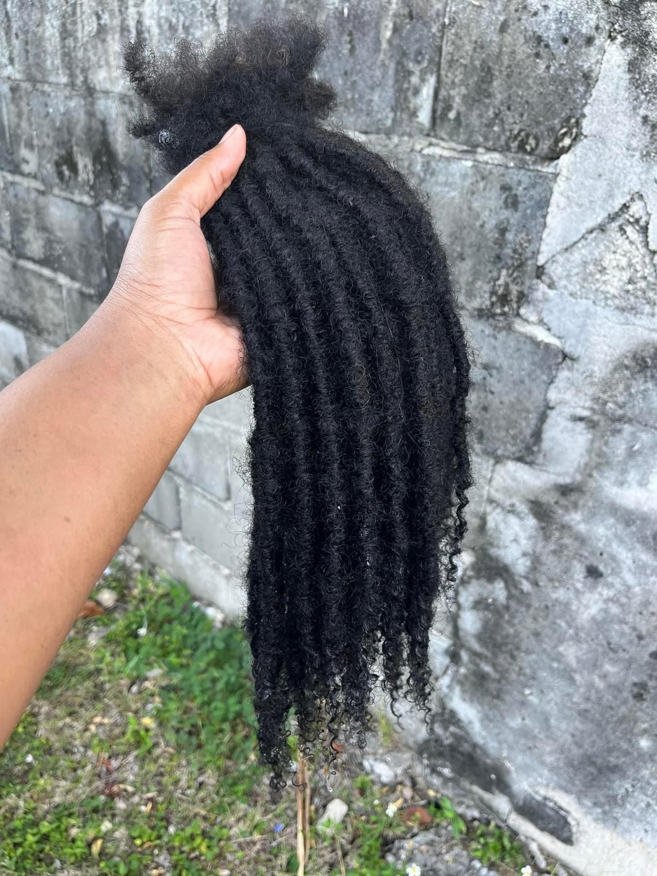 (80 Locs) Black Goddess Locs