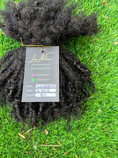 (80 Locs) Black Goddess Locs